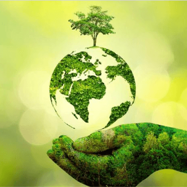 Eco Friendly